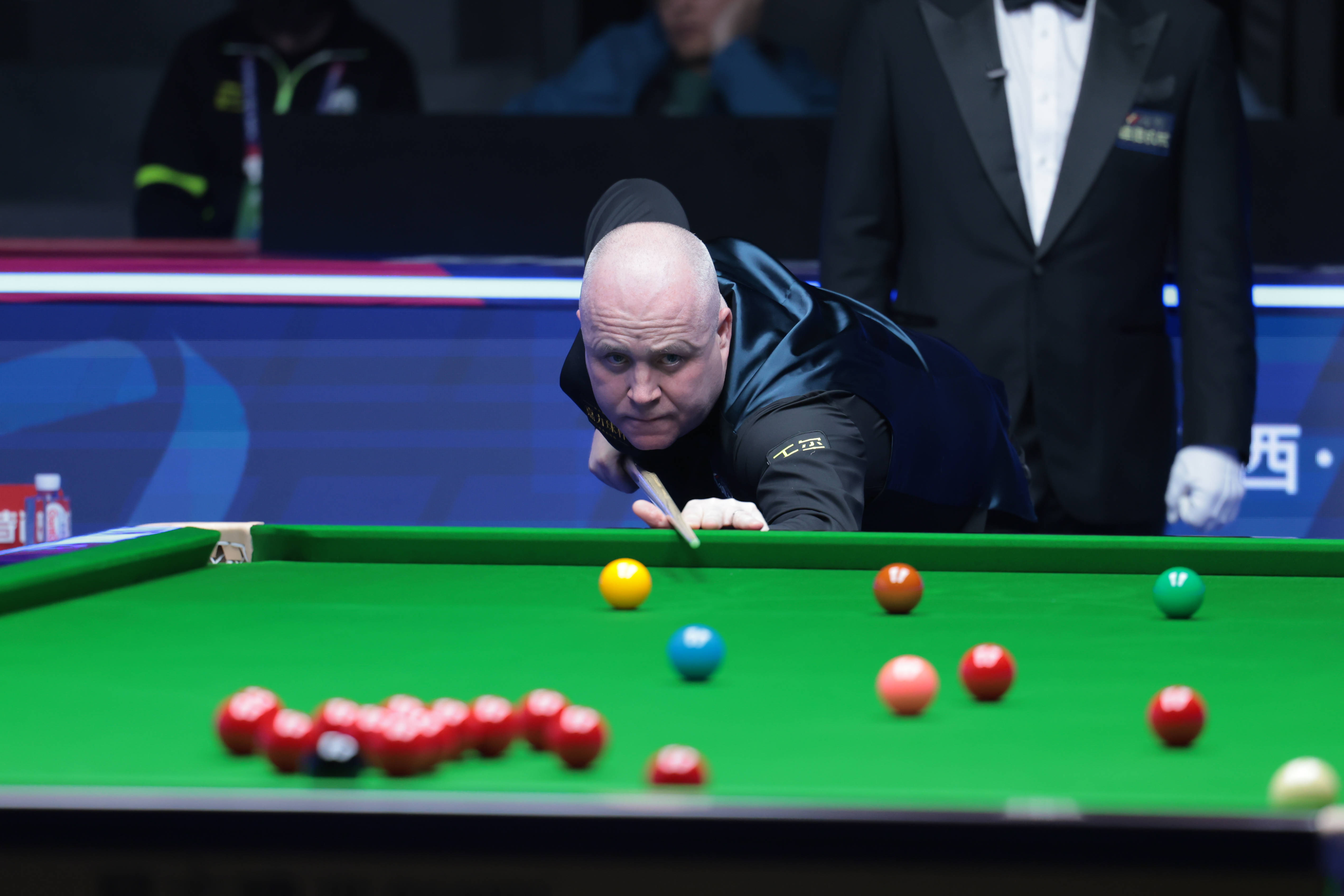 就是因为保 就是因为保